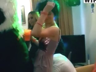 After Party Begins With Nasty Panda's Blowjob