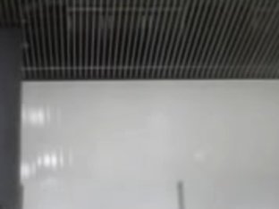 Hidden Web Camera In A Ladies Washroom Caught Some Sexy Twats