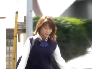 Schoolgirl In Japan Got Shuri Sharked On Her Way To School