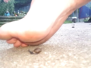 Barefoot Snail Crush