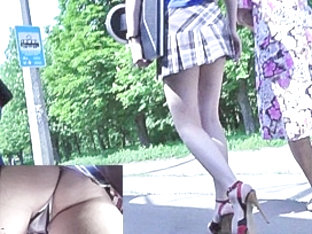 Striped Panty Up Checkered Petticoat