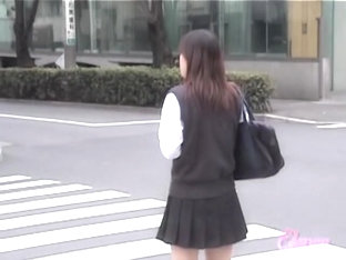Hot College Babe Got Skirt Sharked After Crossing The Street