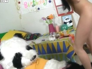 Amateur Birthday Girl Fucks With Her Best Friend Panda Bear