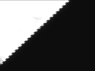 Hold Me Down & Fuck Me Bareback