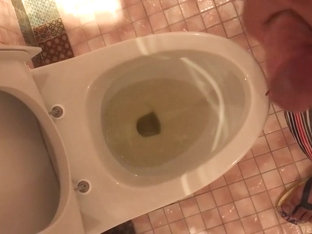 Pissing wanking cumming (public toilet) 2