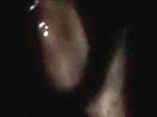 Anniligulus to rizoslinda mex