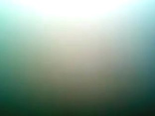 Plump hotties need love also!