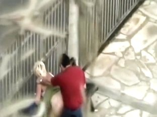 Unaware couple fucking while I am doing this clip