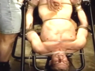 be trainad to obey part 1