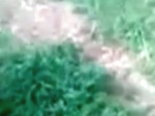 plusieur jeune dans la nature