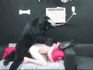 Minotaur and puppy mate