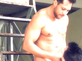 Painters Bareback Break