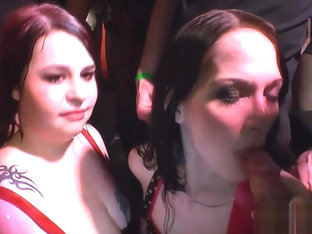 Goldenshower Loving Sluts