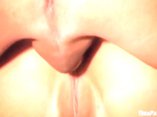 Tiffany Taylor, Mia Taylor And Ariana Jollee In Are The Lead In This Gangbang With Anal And Facials