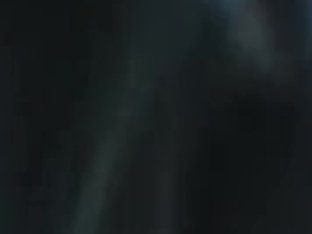 Festivus Oral - Nippon Style