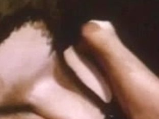 Sexy nights in wonderland