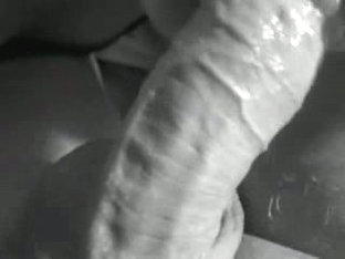 Close-up Black And White Blowjob