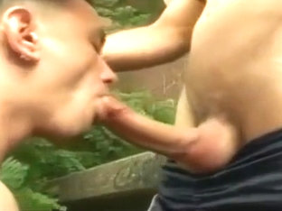 German gay skinheads