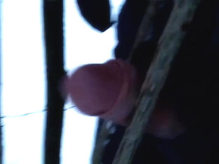 Horny xxx movie