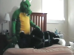 SQUIRT-SQUIRT-SQUIRT (compilation)