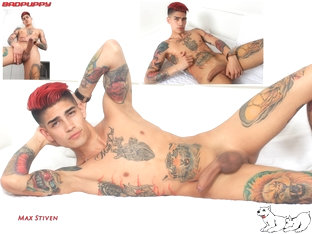 Max Stiven - Badpuppy