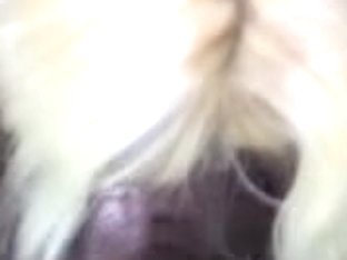 Sean Michaels and Anita Blond