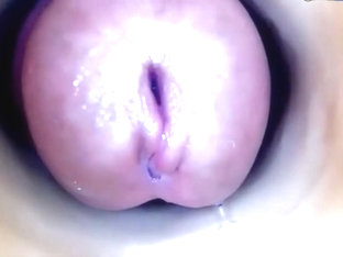 Tranny fucking a tube with webcam inside