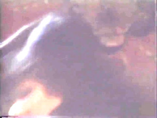 Excellent adult scene Massage unbelievable only for you