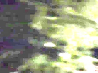 x1x23F1B820AD5E1F3653