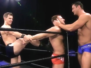 Austin vs Dash and Bruce