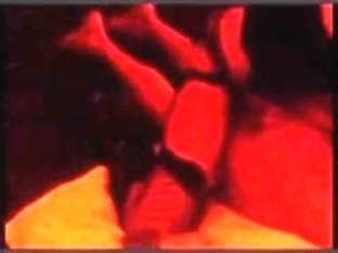 A valantines day ill not at any time forget