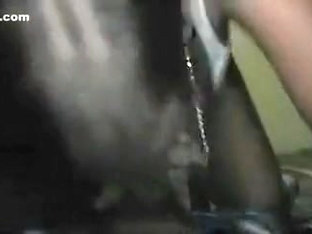 Little whore engulf and fuck with my ally