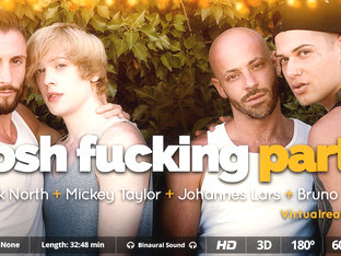 Posh Fucking Party - Virtualrealgay