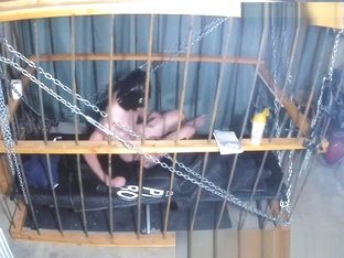 The Cage Cam May 9 2018 0041 Another day starts.. (in darkness)