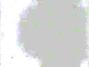 CUM SQUEEZING+LAPPING & TOY PUNCHING & CAM KNOCKED OVER BUT I KEPT ON GOING