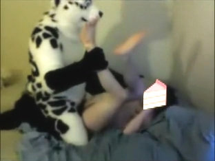 Dickin Dalmation