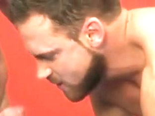 Best gay video with Muscle, Group Sex scenes