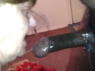 toothless aggression