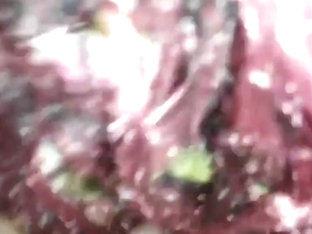 Gorgeous Tranny Ass to Mouth