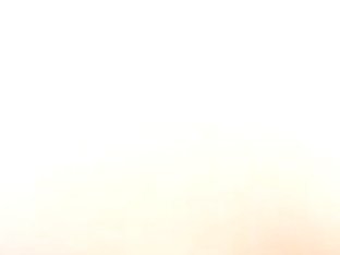 Miniature salope franacaise