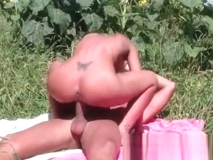 Crazy couple sex among sunfl...