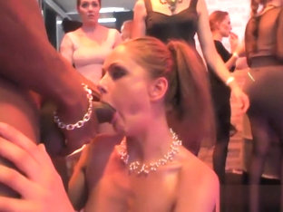 Real Amateur Whore Sucks