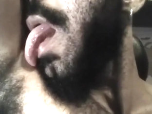 HOT BEAR LICKING HIS SMELLY ARMPITS