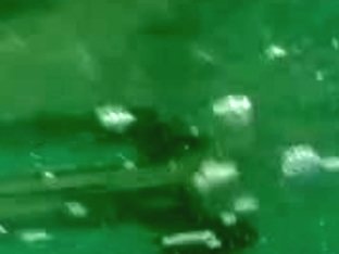 RINA - 04 Japanese Angels