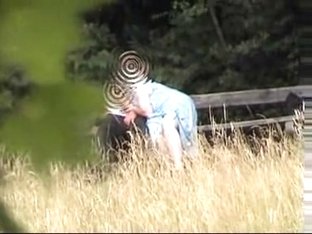 Park Bench Aged Couple Spied On From Bushes