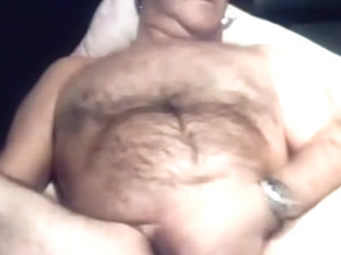 Hairy daddy bear 22917