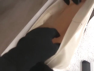 Teen burglars got caught and ordered to lesbian fuck