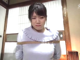 FXA325-JOIGCPZWEH168364645