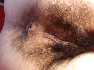 Woman With A Very Hairy Cunt Lets Me Play With It