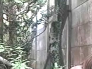 Japanese outdoor masturbating